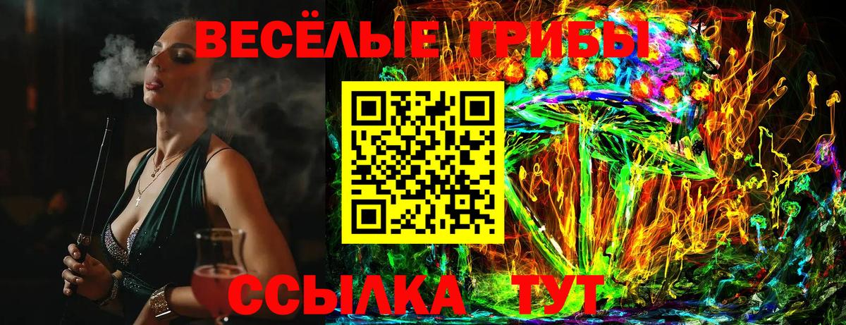 Галлюциногенные грибы Psilocybe Бийск