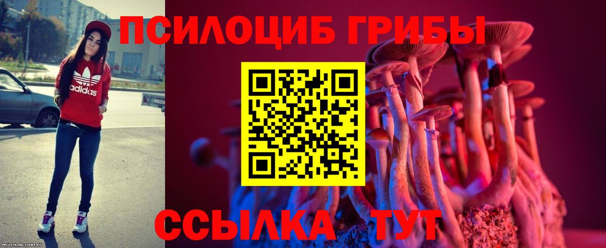 Псилоцибиновые грибы мухоморы  Вход с VPN  Псилоцибиновые грибы GOLDEN TEACHER  Бийск 